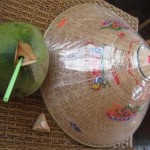 Kokos i SHlyapa