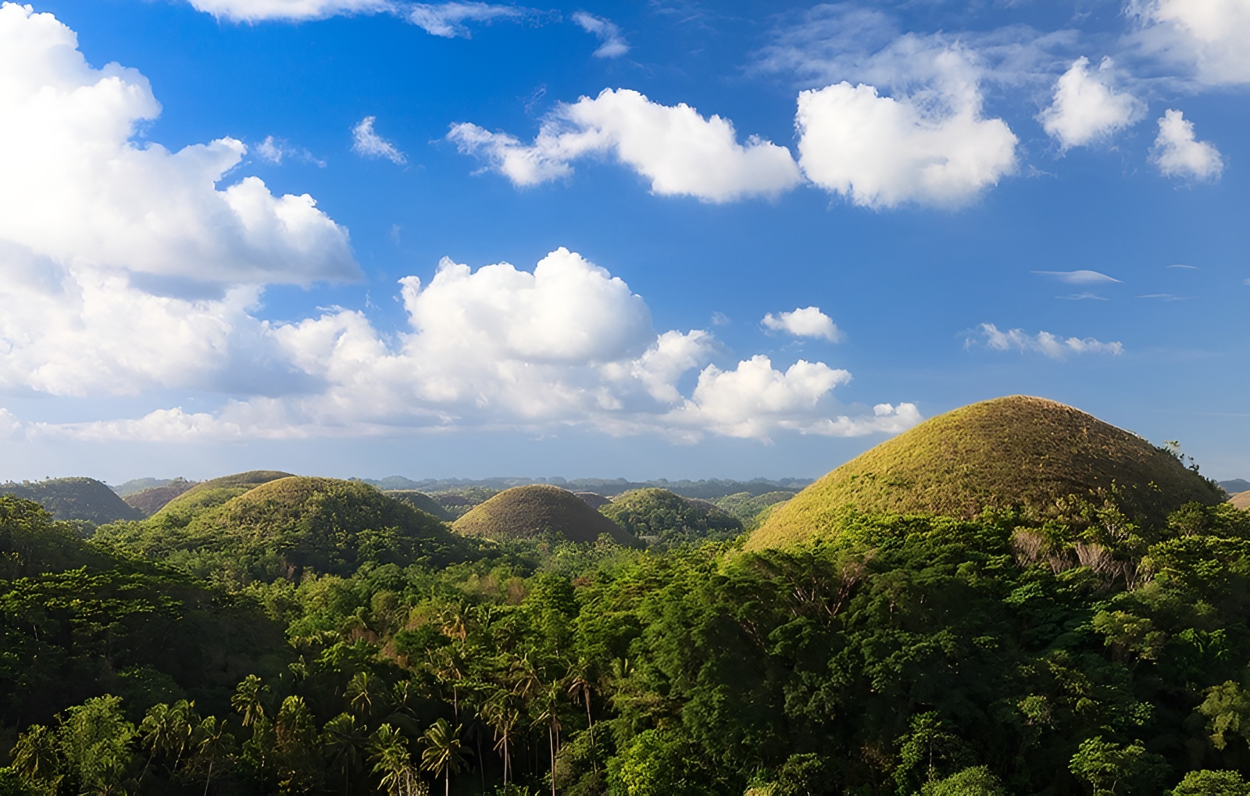 Путешествие по россыпи жемчуга: филиппинские острова …